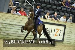 25BUCKEYE_06851 thumbnail