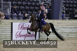 25BUCKEYE_06852 thumbnail
