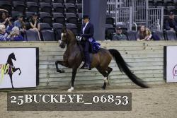 25BUCKEYE_06853 thumbnail