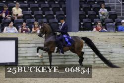 25BUCKEYE_06854 thumbnail