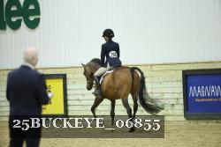 25BUCKEYE_06855 thumbnail