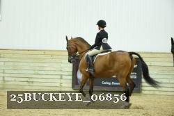 25BUCKEYE_06856 thumbnail