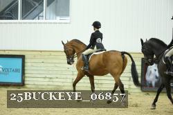 25BUCKEYE_06857 thumbnail