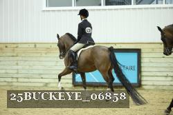 25BUCKEYE_06858 thumbnail