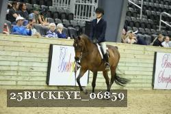 25BUCKEYE_06859 thumbnail