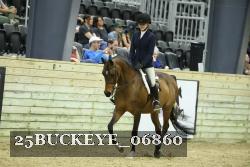 25BUCKEYE_06860 thumbnail