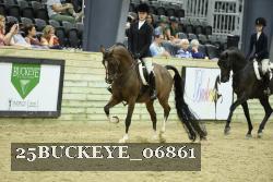 25BUCKEYE_06861 thumbnail