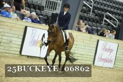 25BUCKEYE_06862 thumbnail