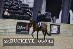 25BUCKEYE_06894 thumbnail