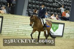 25BUCKEYE_06895 thumbnail