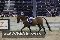 25BUCKEYE_06899 thumbnail