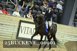 25BUCKEYE_06901 thumbnail
