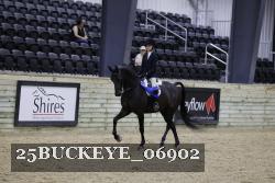25BUCKEYE_06902 thumbnail