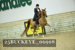 25BUCKEYE_06908 thumbnail
