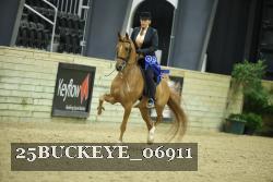 25BUCKEYE_06911 thumbnail