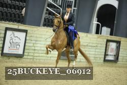 25BUCKEYE_06912 thumbnail