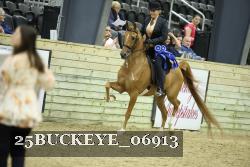 25BUCKEYE_06913 thumbnail