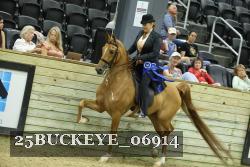 25BUCKEYE_06914 thumbnail