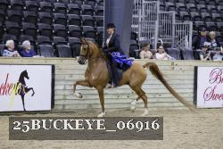 25BUCKEYE_06916 thumbnail