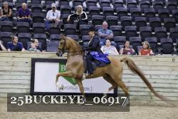 25BUCKEYE_06917 thumbnail