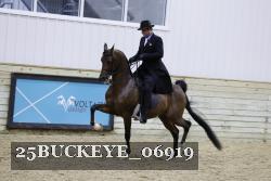 25BUCKEYE_06919 thumbnail