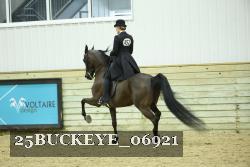25BUCKEYE_06921 thumbnail