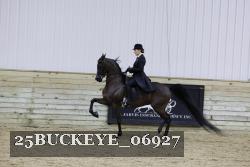 25BUCKEYE_06927 thumbnail