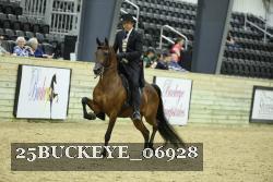 25BUCKEYE_06928 thumbnail
