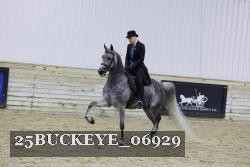25BUCKEYE_06929 thumbnail
