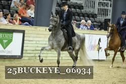 25BUCKEYE_06934 thumbnail