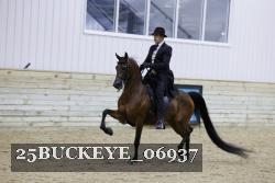 25BUCKEYE_06937 thumbnail