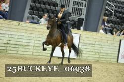 25BUCKEYE_06938 thumbnail