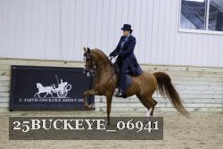 25BUCKEYE_06941 thumbnail