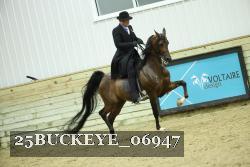 25BUCKEYE_06947 thumbnail