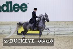 25BUCKEYE_06948 thumbnail