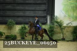 25BUCKEYE_06950 thumbnail