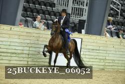 25BUCKEYE_06952 thumbnail