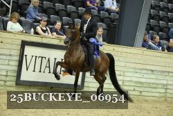 25BUCKEYE_06954 thumbnail