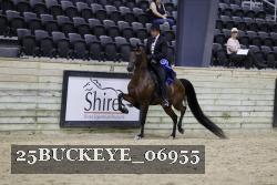 25BUCKEYE_06955 thumbnail