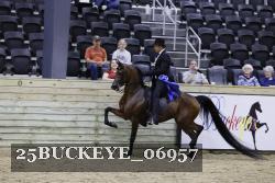 25BUCKEYE_06957 thumbnail