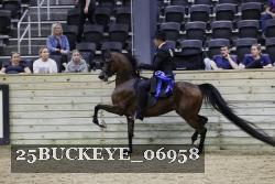 25BUCKEYE_06958 thumbnail