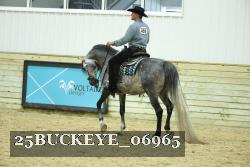 25BUCKEYE_06965 thumbnail