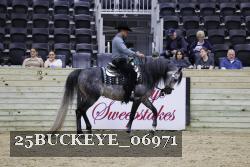 25BUCKEYE_06971 thumbnail