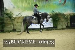 25BUCKEYE_06973 thumbnail