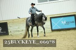 25BUCKEYE_06978 thumbnail