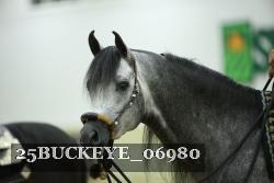 25BUCKEYE_06980 thumbnail