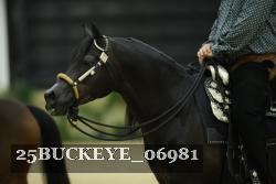 25BUCKEYE_06981 thumbnail