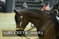25BUCKEYE_06983 thumbnail
