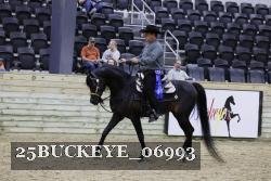 25BUCKEYE_06993 thumbnail
