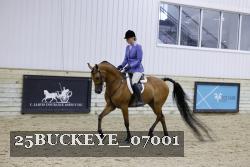 25BUCKEYE_07001 thumbnail